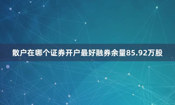 散户在哪个证券开户最好融券余量85.92万股