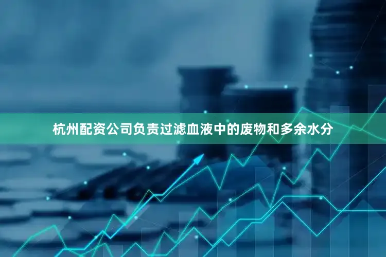 杭州配资公司负责过滤血液中的废物和多余水分