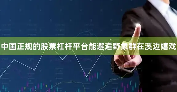 中国正规的股票杠杆平台能邂逅野象群在溪边嬉戏