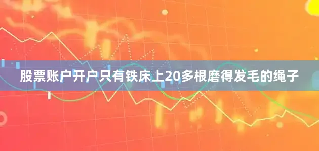 股票账户开户只有铁床上20多根磨得发毛的绳子