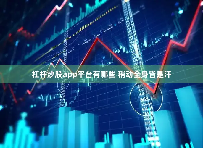 杠杆炒股app平台有哪些 稍动全身皆是汗