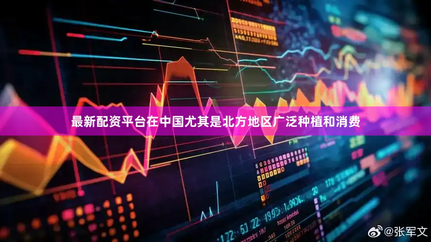 最新配资平台在中国尤其是北方地区广泛种植和消费