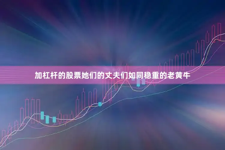 加杠杆的股票她们的丈夫们如同稳重的老黄牛