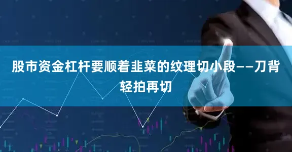 股市资金杠杆要顺着韭菜的纹理切小段——刀背轻拍再切